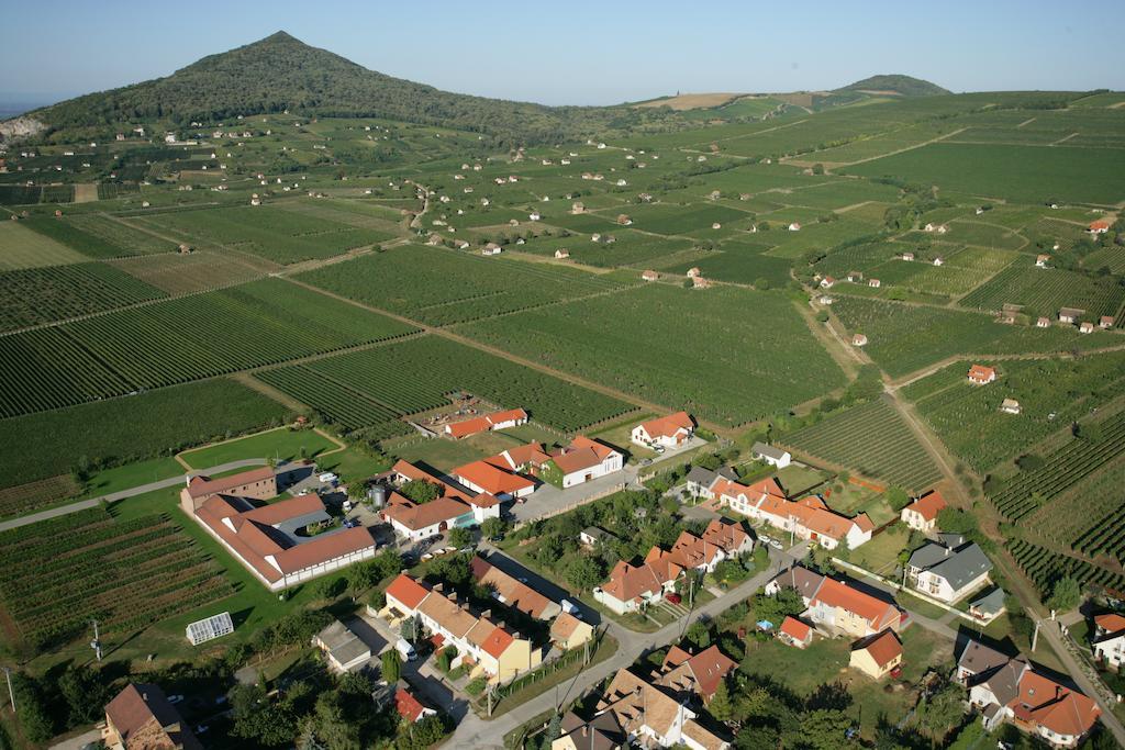 Tiffan'S Pinceszet Es Panzio Hotel Villany Ruang foto