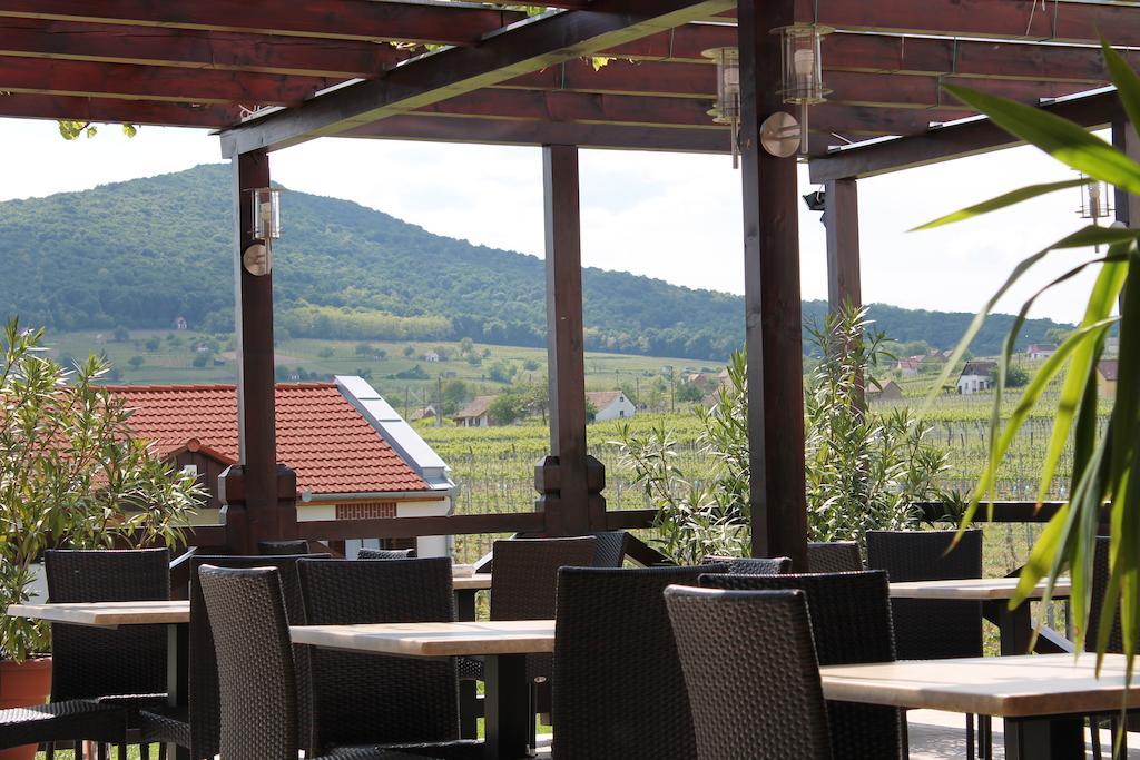 Tiffan'S Pinceszet Es Panzio Hotel Villany Bagian luar foto